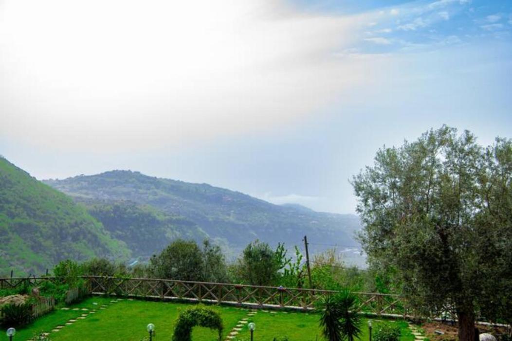 Villa Aurora Oasi Verde Sorrento Exterior photo