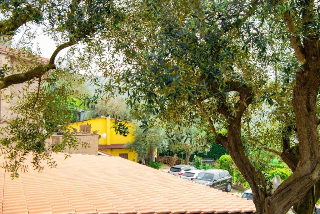 Villa Aurora Oasi Verde Sorrento Exterior photo